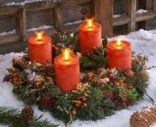 《植物大战僵尸：重植版》开启预购 Steam国区98元