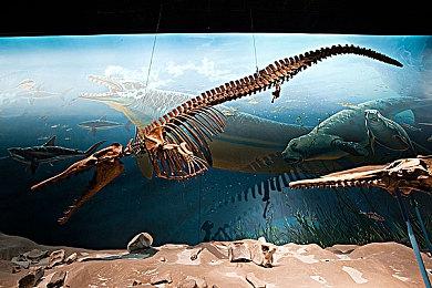 《原神》2.8版已开放 登录和支付异常问题处理说明